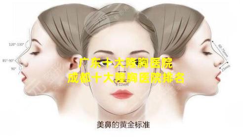 广东十大隆胸医院 成都十大隆胸医院排名